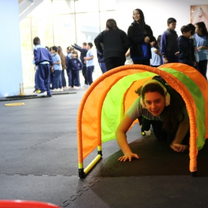 Día de la Actividad Física